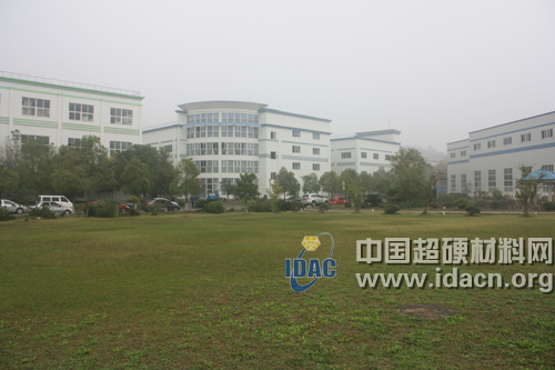 超硬材料技術(shù)發(fā)展論壇與會人員參觀黑旋風(fēng)鋸業(yè)