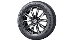 鄧祿普e.SPORT MAXX開啟EV輪胎新紀元