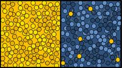 【集團新聞】傲領(lǐng)科技之先，住友橡膠最新成果