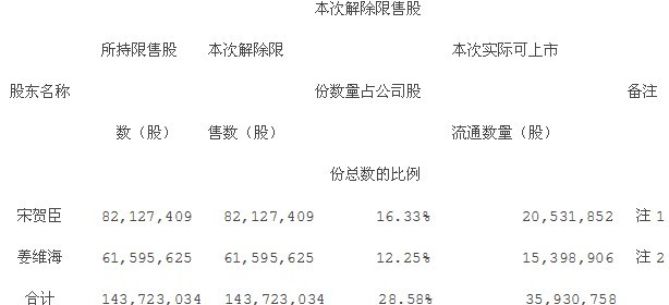 新大新：公開發(fā)行前已發(fā)行股份上市流通公告