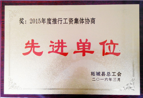 惠豐金剛石公司獲多個(gè)榮譽(yù)獎(jiǎng)項(xiàng)專業(yè)肯定