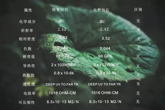 “十年有愛 最美情侶”有獎(jiǎng)?wù)骷顒?dòng)開始