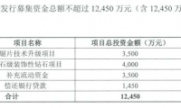 鄂信鉆石新三板募資1.1億元 用于鋸片技術(shù)升級(jí)等