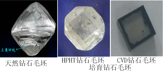 培育鉆石產業(yè)未來之路