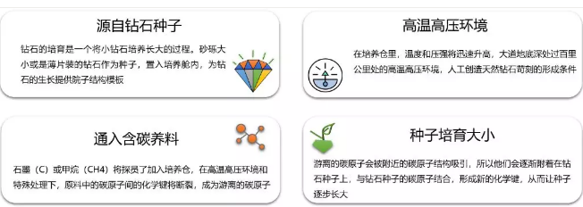 培育鉆石之崛起，科技改變未來