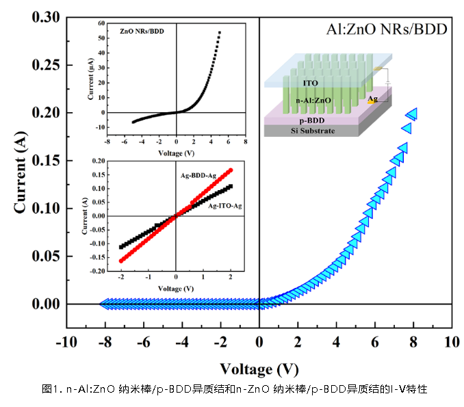 桑丹丹副教授課題組在金剛石基納米器件光電性能研究方面取得進(jìn)展
