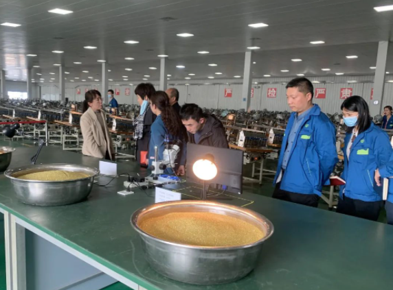 鄭州大學吳養(yǎng)潔院士團隊一行到華晶公司考察調研