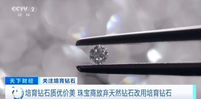 培育鉆石掀起熱潮！2024年全球銷售額將超1300億元