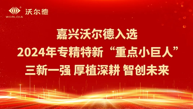 嘉興沃爾德入選2024年專精特新“重點(diǎn)小巨人”